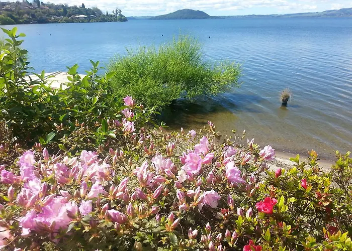 Koutu Bed & Breakfast Rotorua